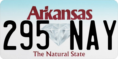 AR license plate 295NAY
