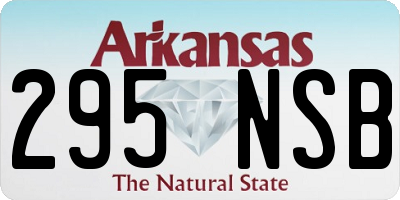 AR license plate 295NSB
