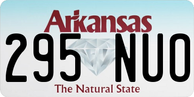 AR license plate 295NUO