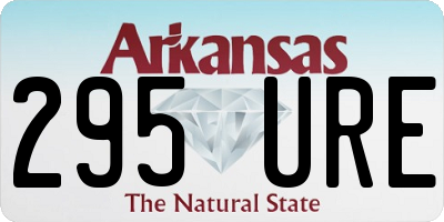 AR license plate 295URE
