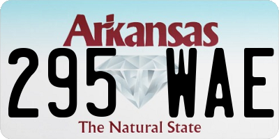 AR license plate 295WAE