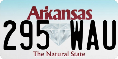 AR license plate 295WAU