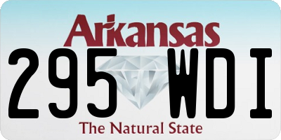 AR license plate 295WDI