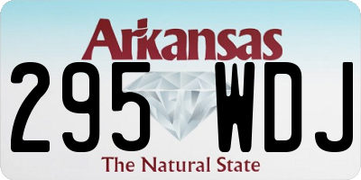 AR license plate 295WDJ