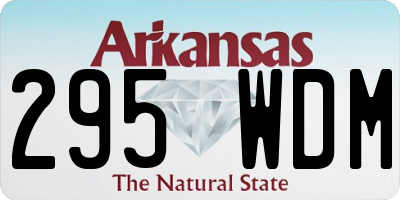 AR license plate 295WDM