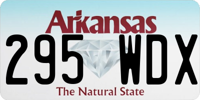 AR license plate 295WDX