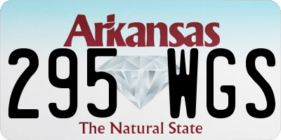 AR license plate 295WGS