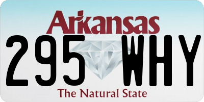 AR license plate 295WHY