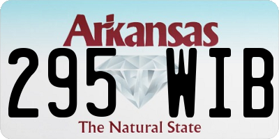 AR license plate 295WIB