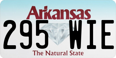 AR license plate 295WIE