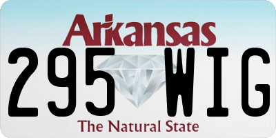AR license plate 295WIG