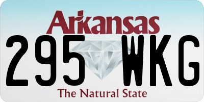 AR license plate 295WKG