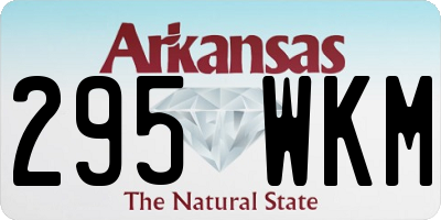AR license plate 295WKM
