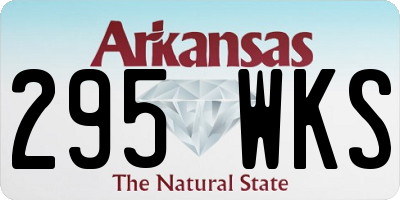AR license plate 295WKS