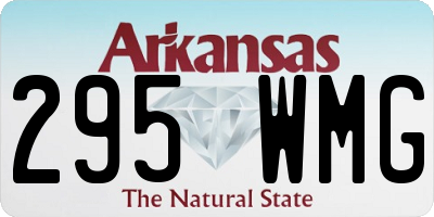 AR license plate 295WMG