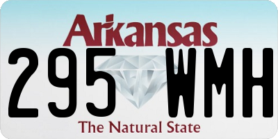 AR license plate 295WMH