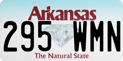 AR license plate 295WMN