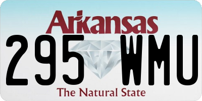 AR license plate 295WMU