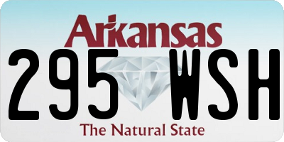AR license plate 295WSH