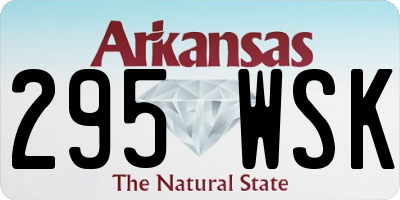 AR license plate 295WSK