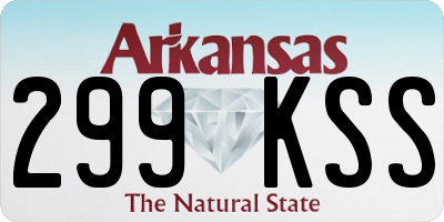 AR license plate 299KSS