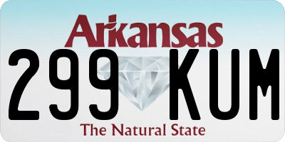 AR license plate 299KUM