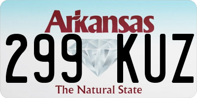 AR license plate 299KUZ