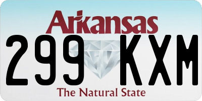AR license plate 299KXM