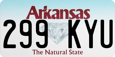 AR license plate 299KYU