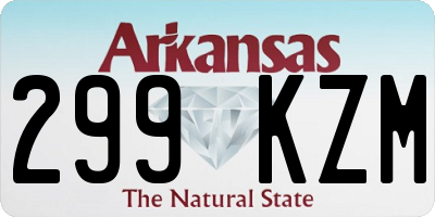 AR license plate 299KZM