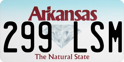 AR license plate 299LSM