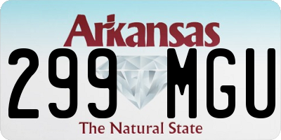 AR license plate 299MGU