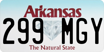 AR license plate 299MGY