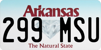 AR license plate 299MSU