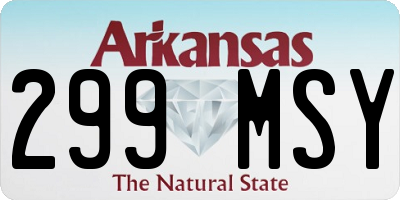 AR license plate 299MSY