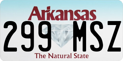 AR license plate 299MSZ