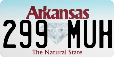 AR license plate 299MUH