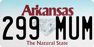 AR license plate 299MUM