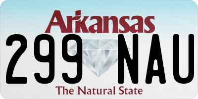 AR license plate 299NAU