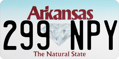 AR license plate 299NPY