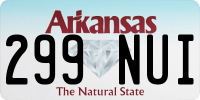 AR license plate 299NUI