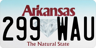 AR license plate 299WAU