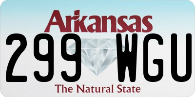 AR license plate 299WGU