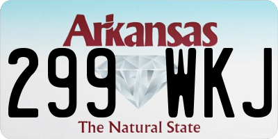 AR license plate 299WKJ