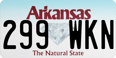 AR license plate 299WKN