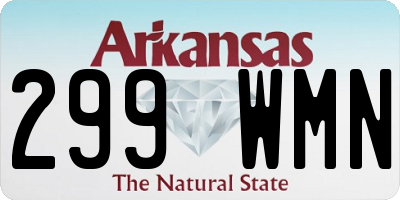 AR license plate 299WMN
