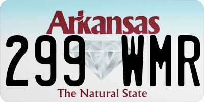 AR license plate 299WMR