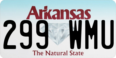 AR license plate 299WMU