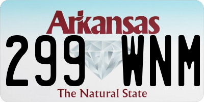 AR license plate 299WNM