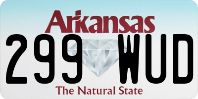 AR license plate 299WUD